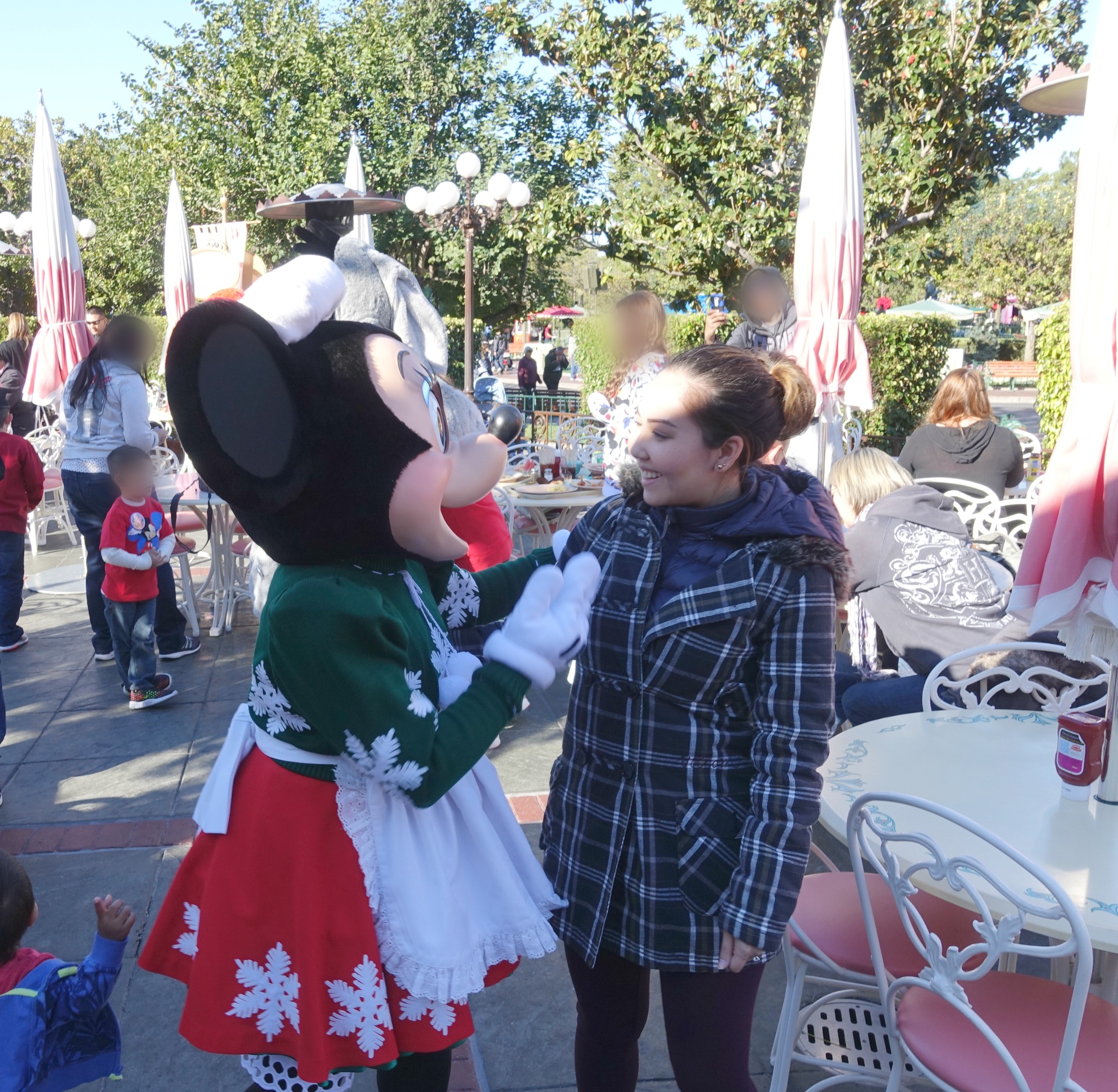 Disneyland on Thanksgiving & Christmas - Crowds + more!